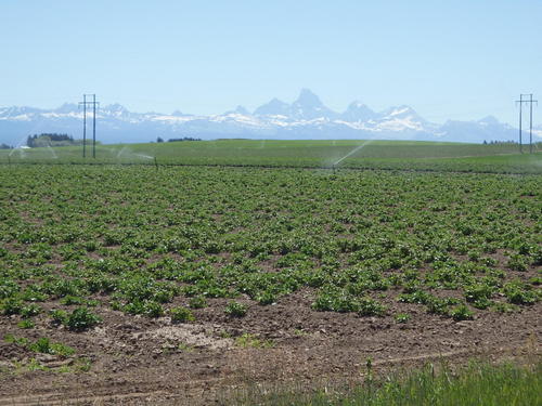 GDMBR: We see the Grand Tetons and where we will be in two nights.